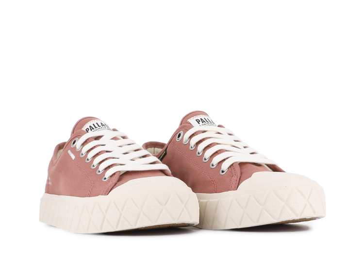 74447-659-M | PALLA ACE CVS ORG | FALL CEDAR