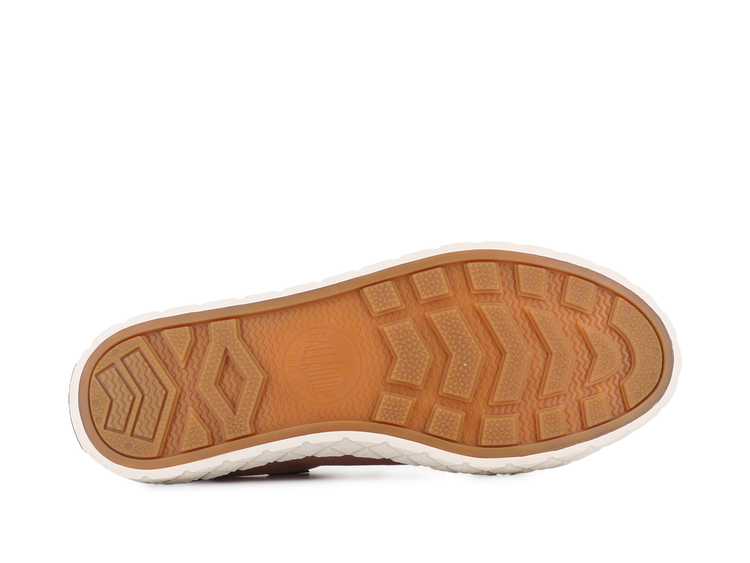 74447-659-M | PALLA ACE CVS ORG | FALL CEDAR